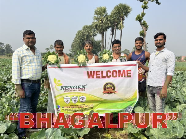 a group of men standing in a field of NXG Tejas Cauliflower with a banner that says welcome  Nexgen