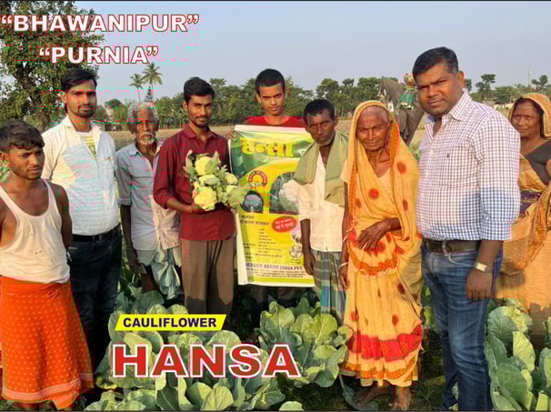 a group of people standing in a NXG Hansa Cauliflower field with a sign that says,'han