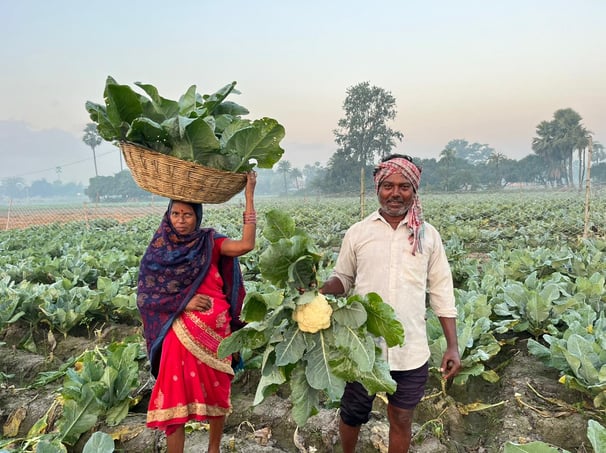 a man and woman standing in a field with a NXG Delight Cauliflower basket on top of a