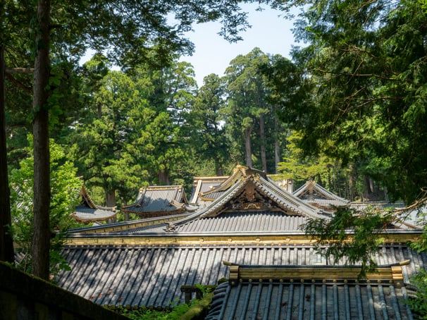 Japanese temples roofs forest Nikko