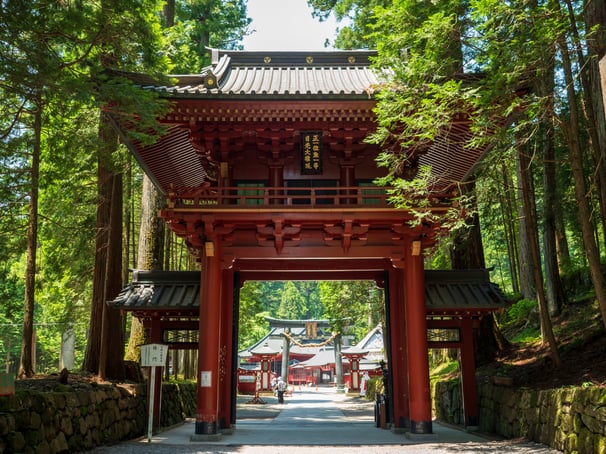 Japanese temple gate Forest Nikko