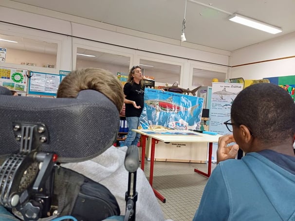 Sensibilisation des jeunes à la préservation des requins