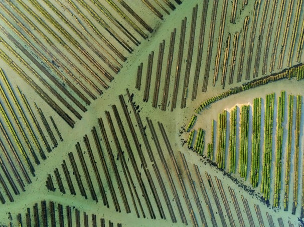 Drone parcs à huitres