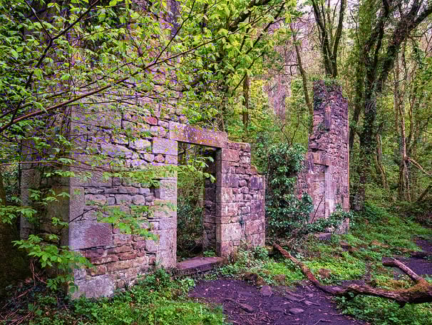 Brock Mill ruins in dense woodland