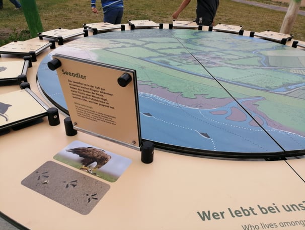 Exponat über die Tiere, die in der Region leben.