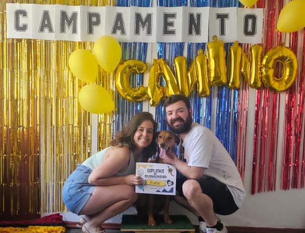 Campamento canino