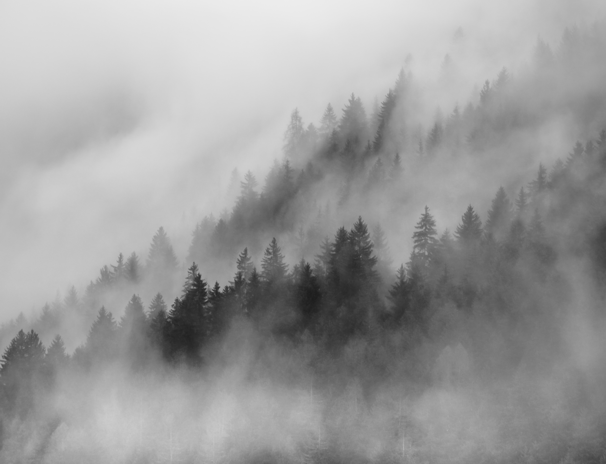 photography / james murray / triol / schlick2000 / events / social media / innsbruck / portraits