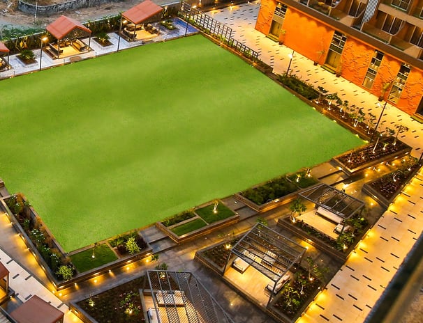 Party  Lawn