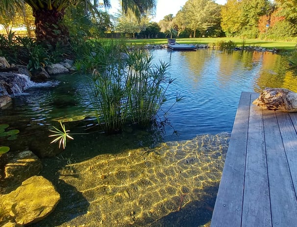 Étang naturel avec cascade et terrasse en bois