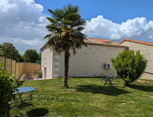 a palm tree in a backyard with a palm tree