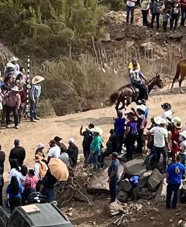 Cuete, our racehorse of Ramajal Riders, comes in third in the annual X-country endurance race