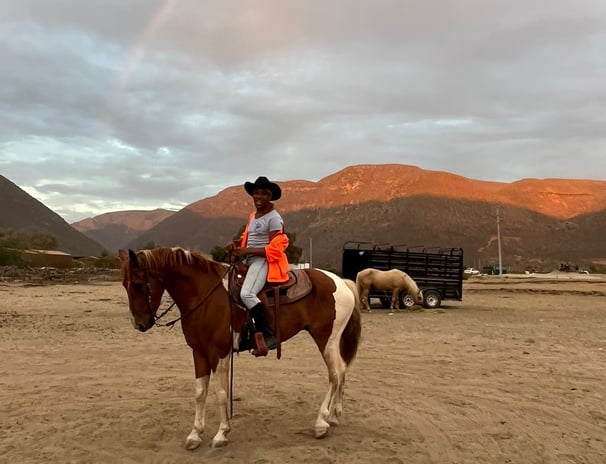 Picasso, rainbows, and arroyos