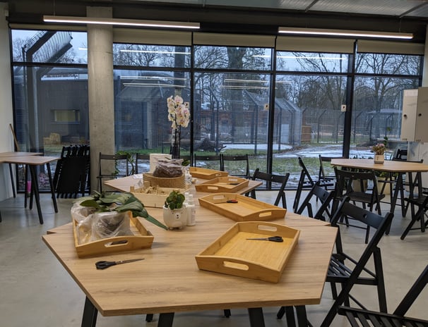 Pirmosios orchidėjų laboratorijos dirrbutvės Kauno zoologijos sode
