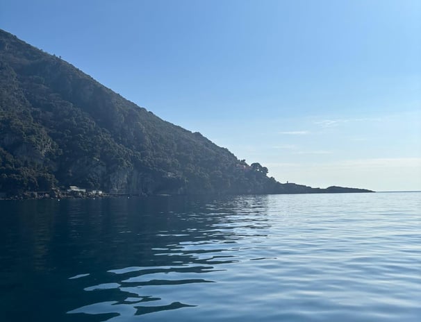 Vista di Punta Chiappa con mare e natura