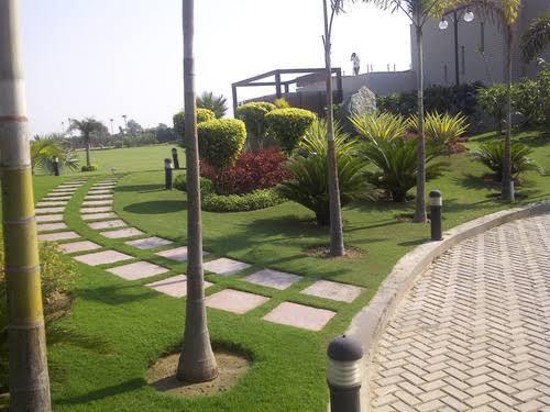 Green roofing solution for commercial building in urban area