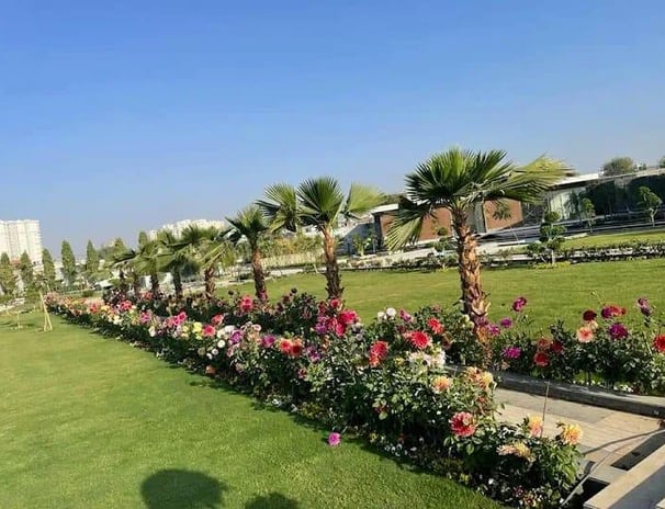 Urban green wall system promoting environmental sustainability