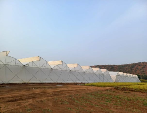 Modern hydroponic setup implemented by Urbanspike Agro Fresh