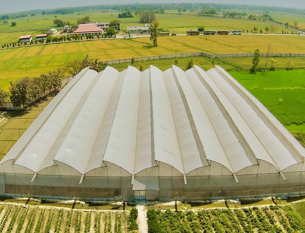 Sustainable rooftop farming project under protected cultivation