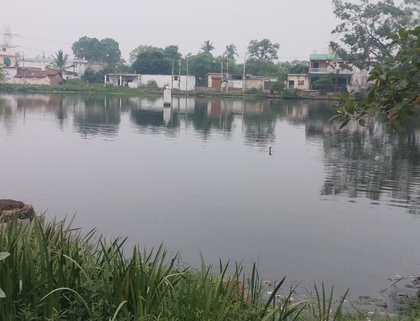 Image of pond