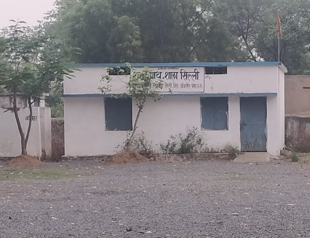 Primary school sirli