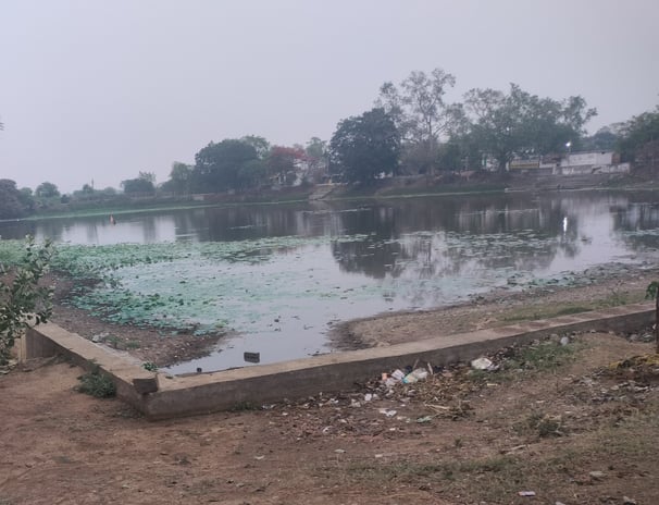 Pond