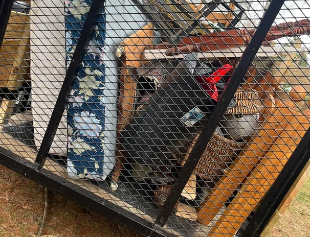 Pat's Junk Removal Services in Millis & MetroWest MA
