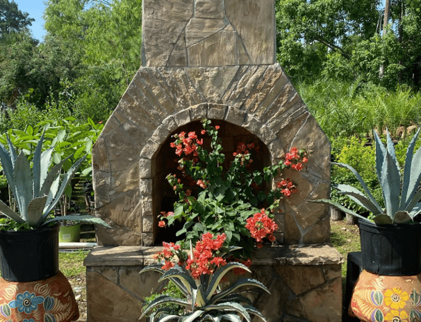 Tropical Gardens Nursery