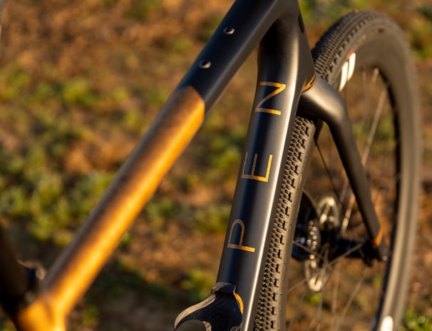 a custom painted OPEN CYCLE Wide with black and gold