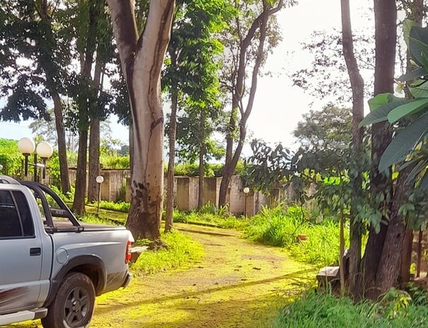 Entrada da chácara com área verde