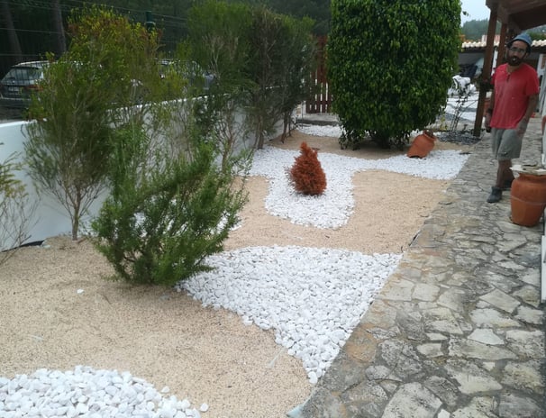 a garden with white rocks
