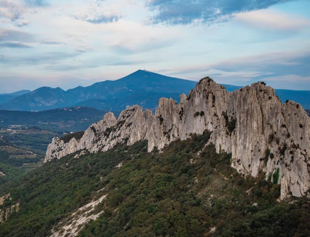 les dentelles de montmirail