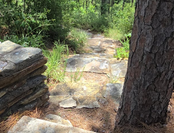 Hiking trail 