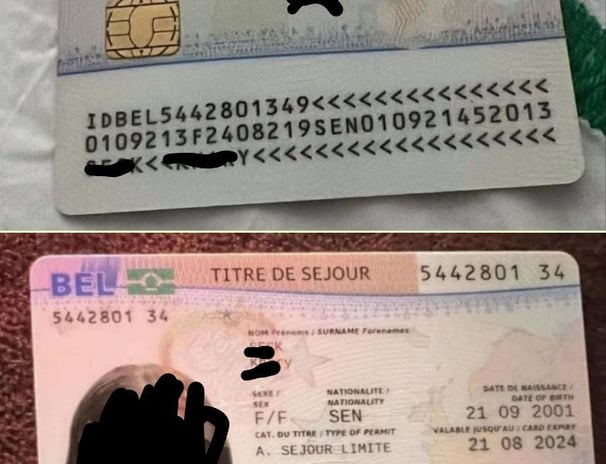 titre de séjour belge, Belgian residence permit
