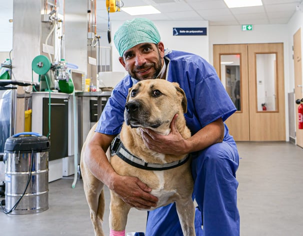 Le Dr Cyrill Poncet qui fait une photo avec un chien avant son opération