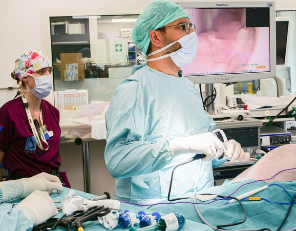 Le Dr Poncet réalise une opération chirurgicale sur un chien