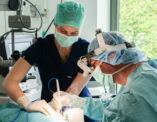 Les vétérinaires Marduel et Payen réalisent une opération ophtalmologique sur un chien