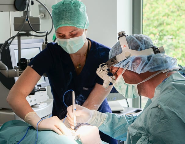 Les vétérinaires Marduel et Payen réalisent une opération ophtalmologique sur un chien