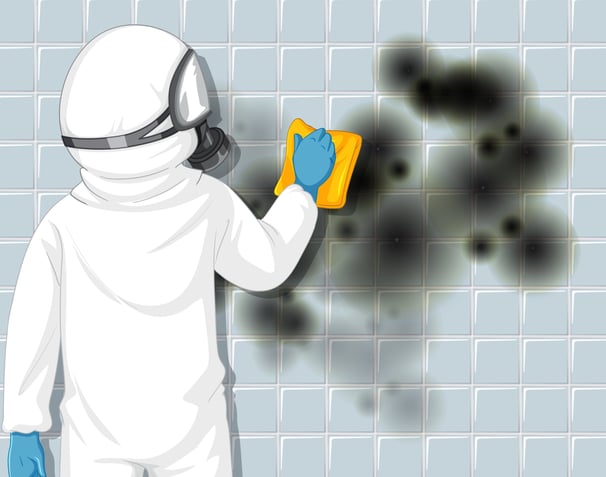 mold-removal-provo