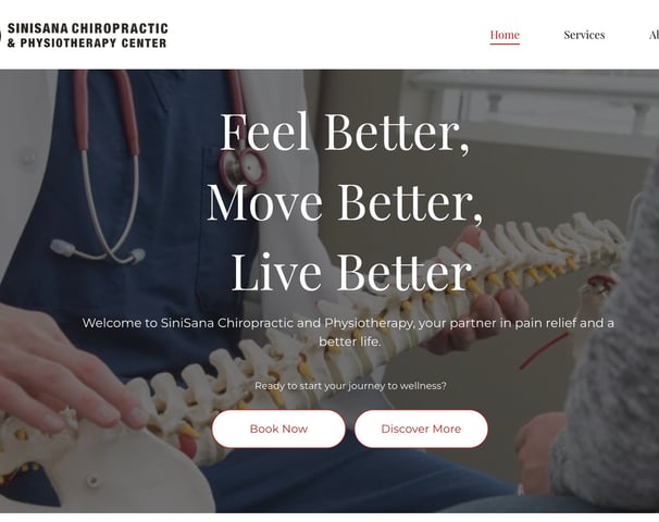 SiniSana Chiropractic website design with spine model patient consultation