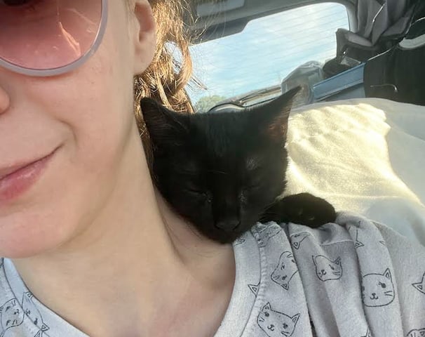 a black cat asleep on a woman's shoulder in a car