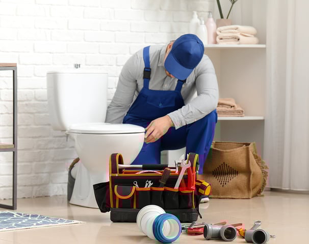 Rob the Plumber in Cornwall - Day rate