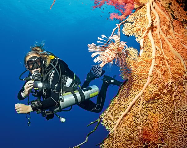 Escuela de Buceo Puerto Cortes, Scuba Diving Honduras 