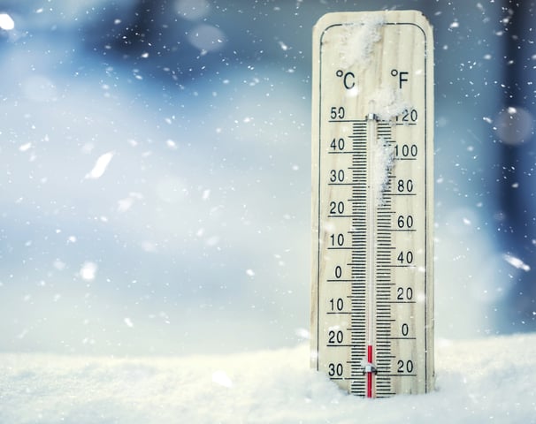 traitement punaise de lit par le froid 