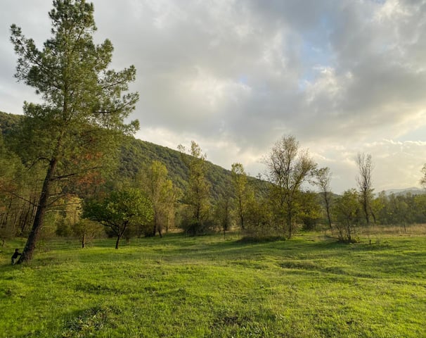 terrain de verdure de la pension chez nanette