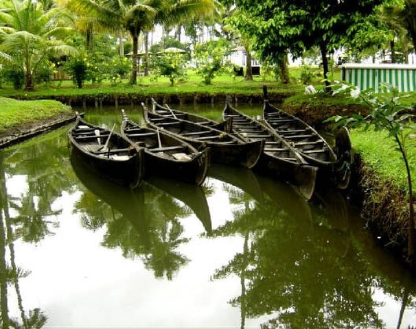 Boats in Kumarakoam - Kerala tour package