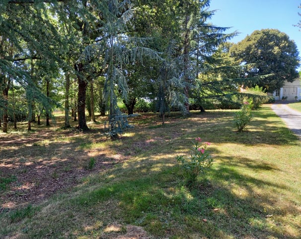 chantelevent-maison-pompignac-gironde-petit-bois