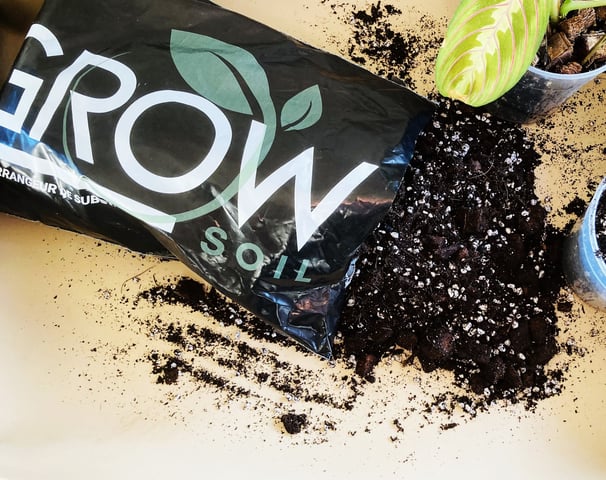 terreau Grow Soil pour plantes tropicales