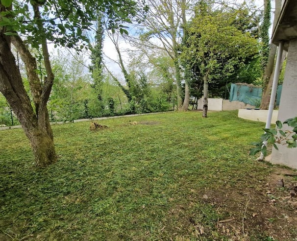 Jardin parfaitement entretenu avec pelouse tondue