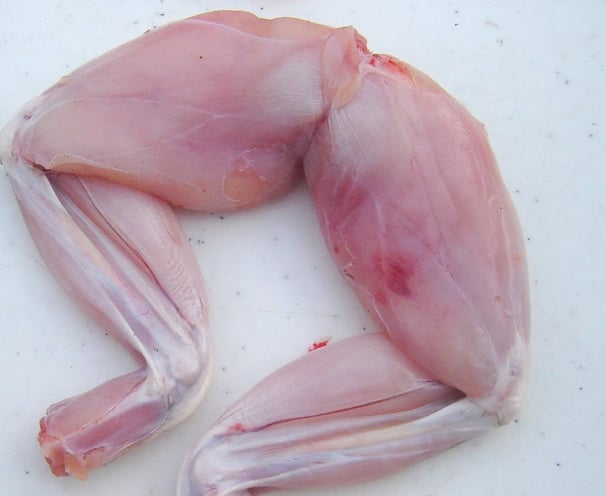 skinned frog legs