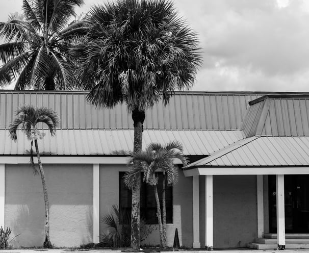 an old abandoned store and some palm trees in everglades city florida